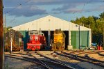 Diesel locomotives in the yard